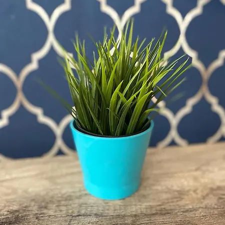 Jab Bandurskiego Business & Family Apartamento