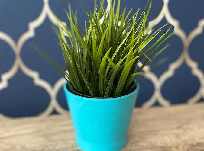 Jab Bandurskiego Business & Family Appartamento